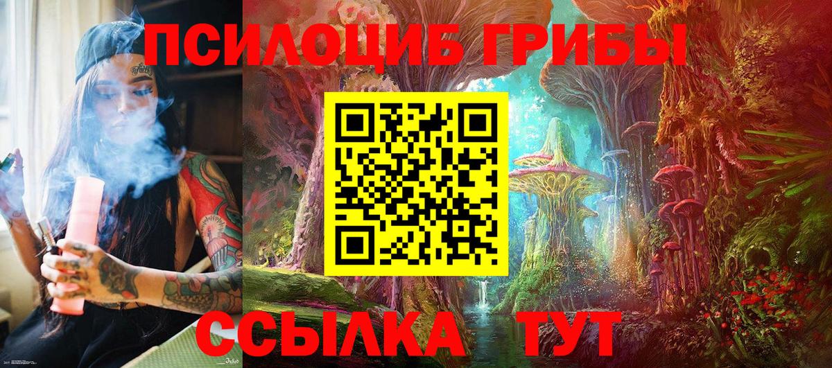 Псилоцибиновые грибы Cubensis  где купить наркотик  Вход с VPN  Острогожск  Псилоцибиновые грибы Psilocybe 